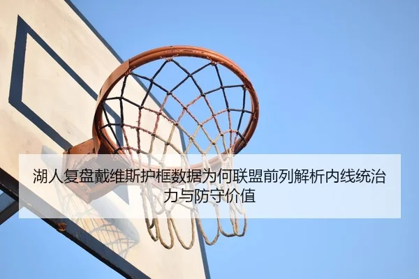 湖人复盘戴维斯护框数据为何联盟前列解析内线统治力与防守价值