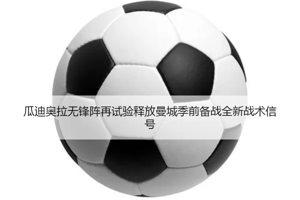 img_1781289401053_1174_1_435.jpg
