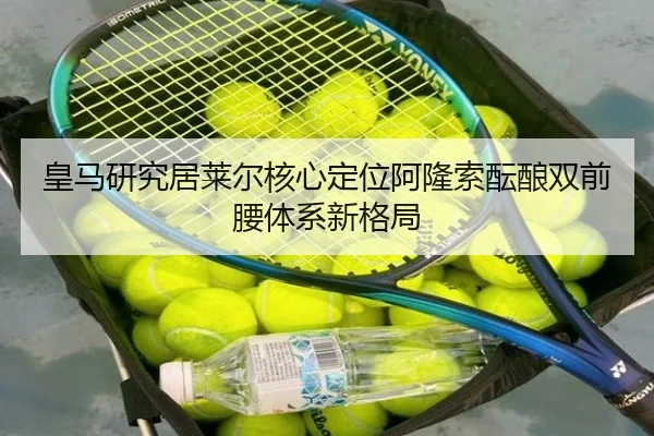 皇马研究居莱尔核心定位阿隆索酝酿双前腰体系新格局